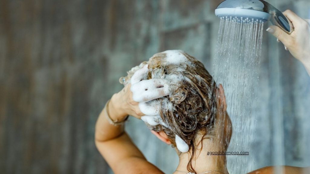 Best Shampoos for All Hair Types