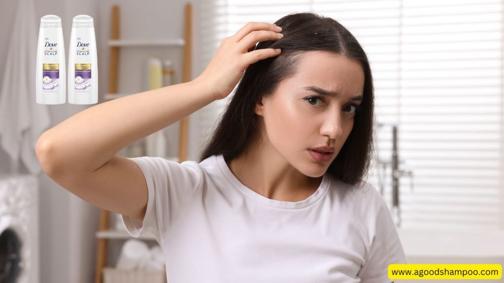 Dove Dandruff Shampoo