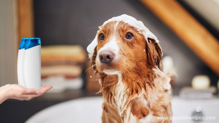 Is Head and Shoulders a Good Dog Shampoo
