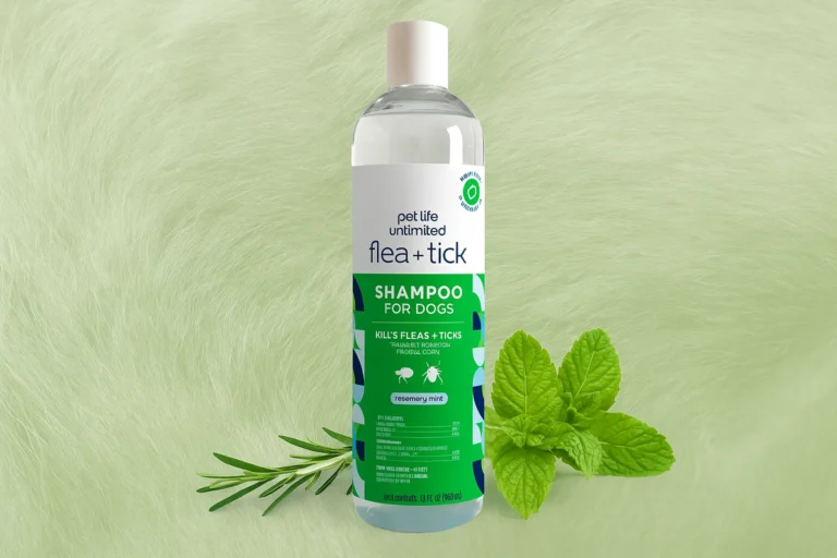 Tea tree oil shampoo for fleas natural remedy