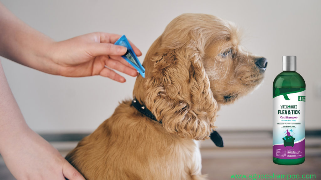 Best Flea and Tick Shampoo for Dogs