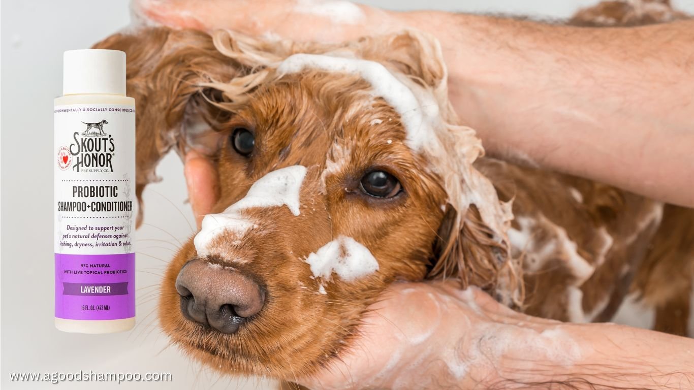 Best Smelling Dog Shampoo