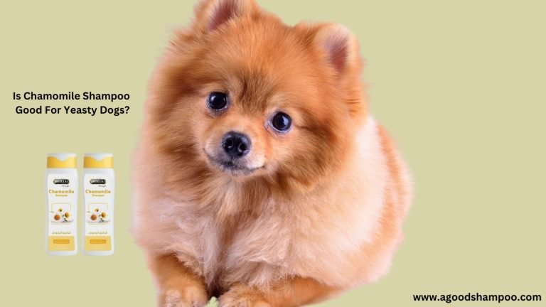 Is Chamomile Shampoo Good For Yeasty Dogs