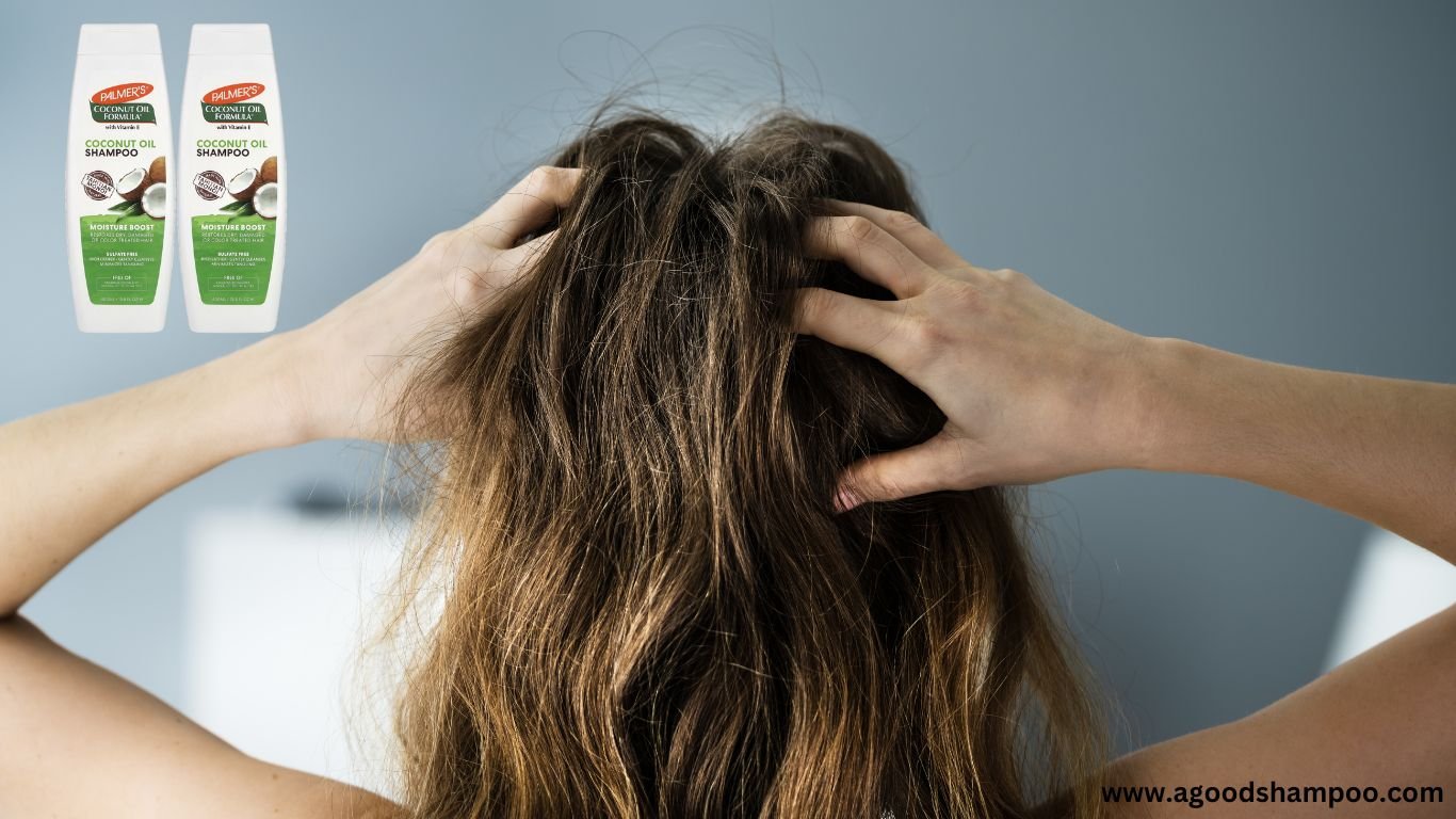Is Coconut Oil Shampoo Good For Dry Scalp? An Honest Review 1 Is Coconut Oil Shampoo Good For Dry Scalp