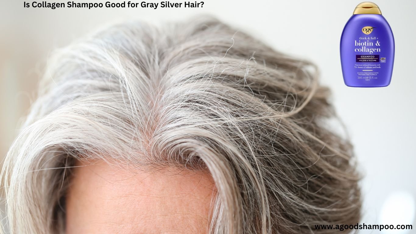 Is Collagen Shampoo Good for Gray Silver Hair? 1 Is Collagen Shampoo Good for Gray Silver Hair