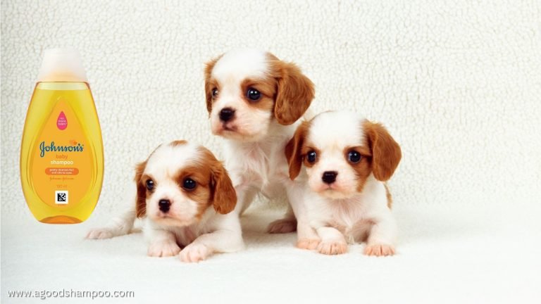 Is Johnson Baby Shampoo Good for Puppies