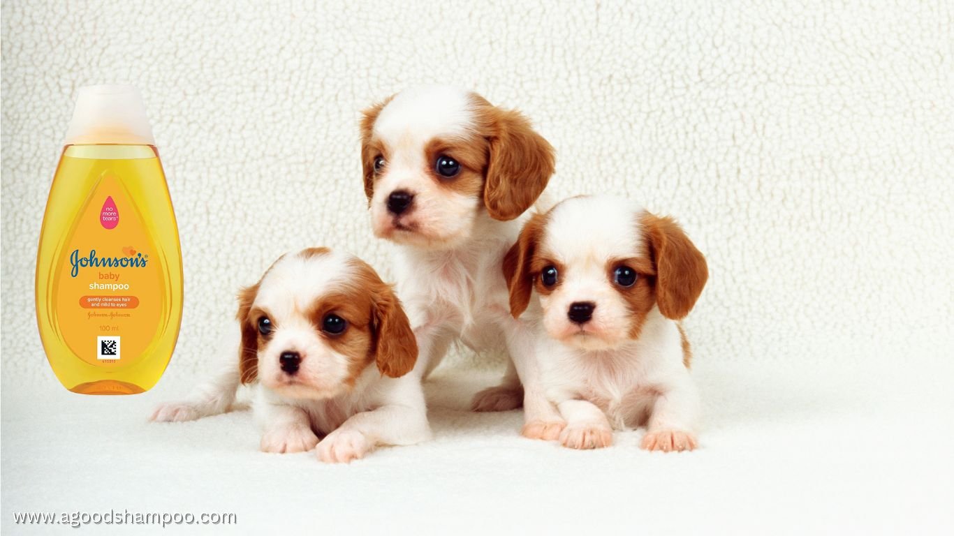 Is Johnson Baby Shampoo Good for Puppies