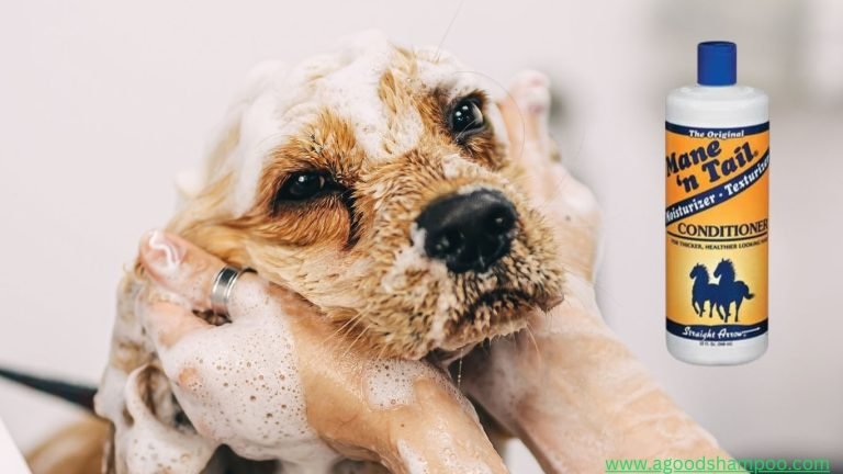 Is Mane N Tail Shampoo Good for Dogs? 6 Is Mane N Tail Shampoo Good for Dogs