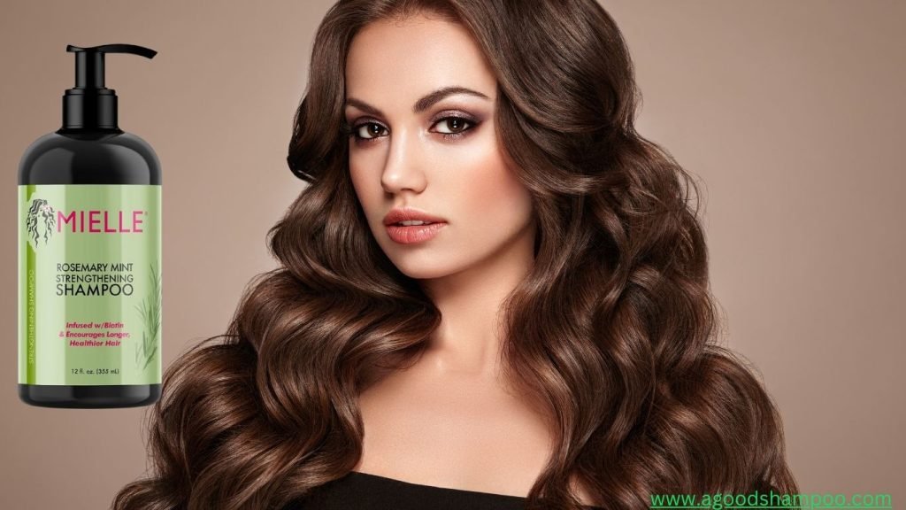 Is The Mielle Shampoo Good? A Comprehensive Review 1 Is The Mielle Shampoo Good