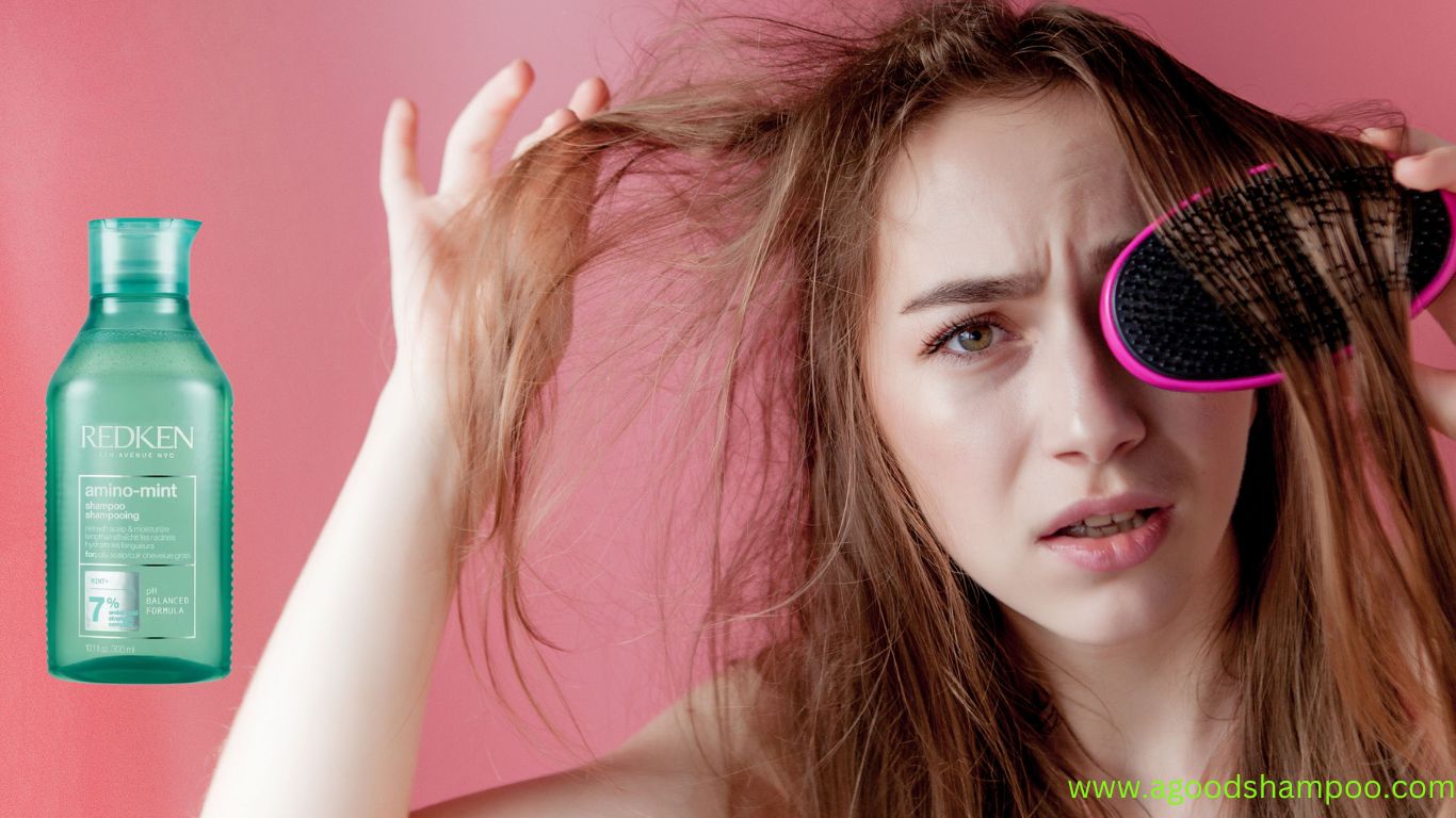 What Is a Good Shampoo for Greasy Hair? Top Picks & Tips 1 What Is a Good Shampoo for Greasy Hair