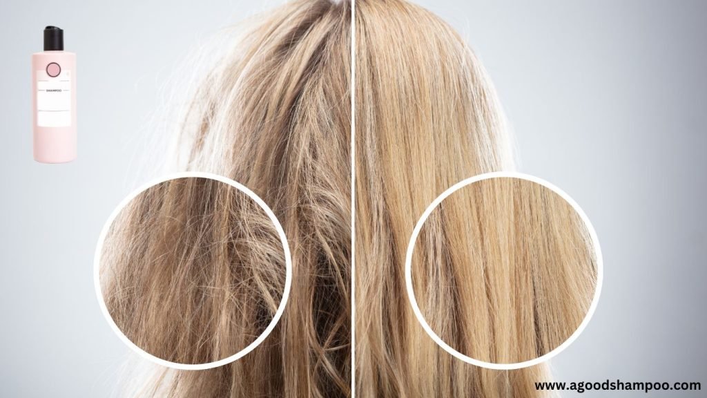 What Shampoo Is Good for Low Porosity Hair?