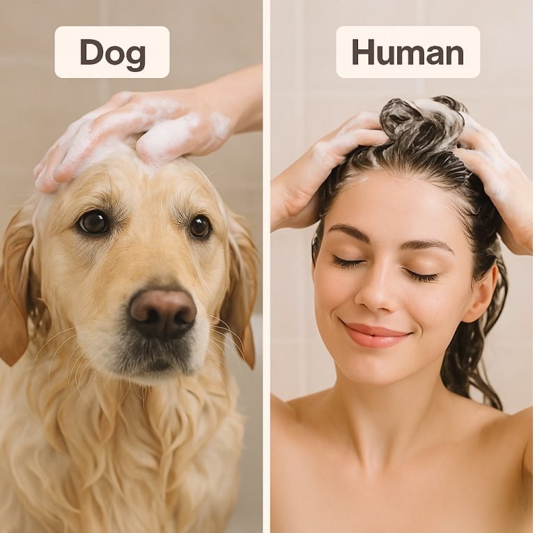 Curious Woman Checking Dog Shampoo Label