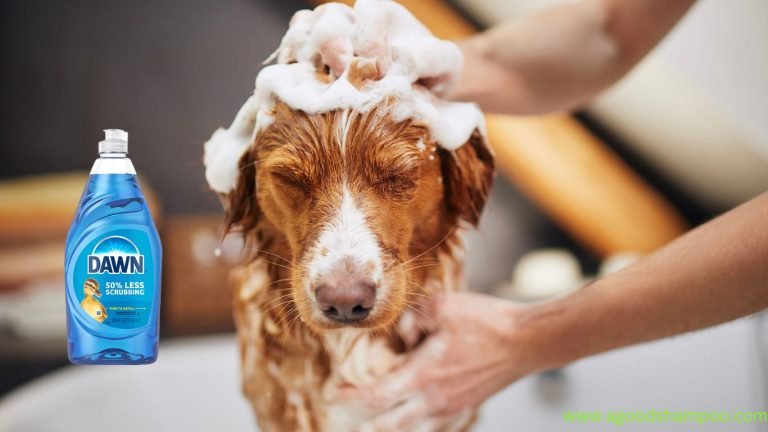 Is Dawn Good For Dog Shampoo