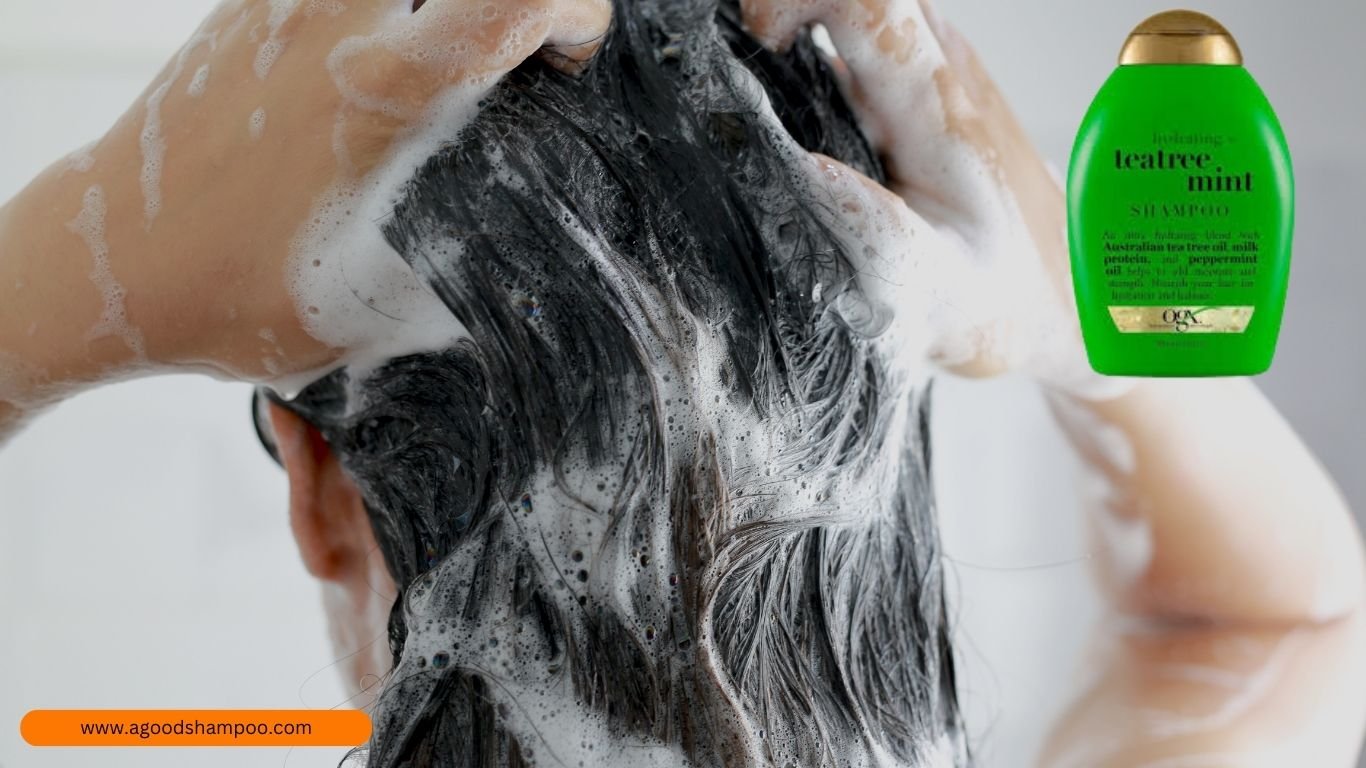 OGX Tea Tree Mint Shampoo