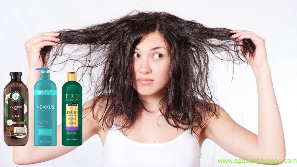 Which Shampoo Is Good For Damaged Hair? 1 Which Shampoo Is Good For Damaged Hair