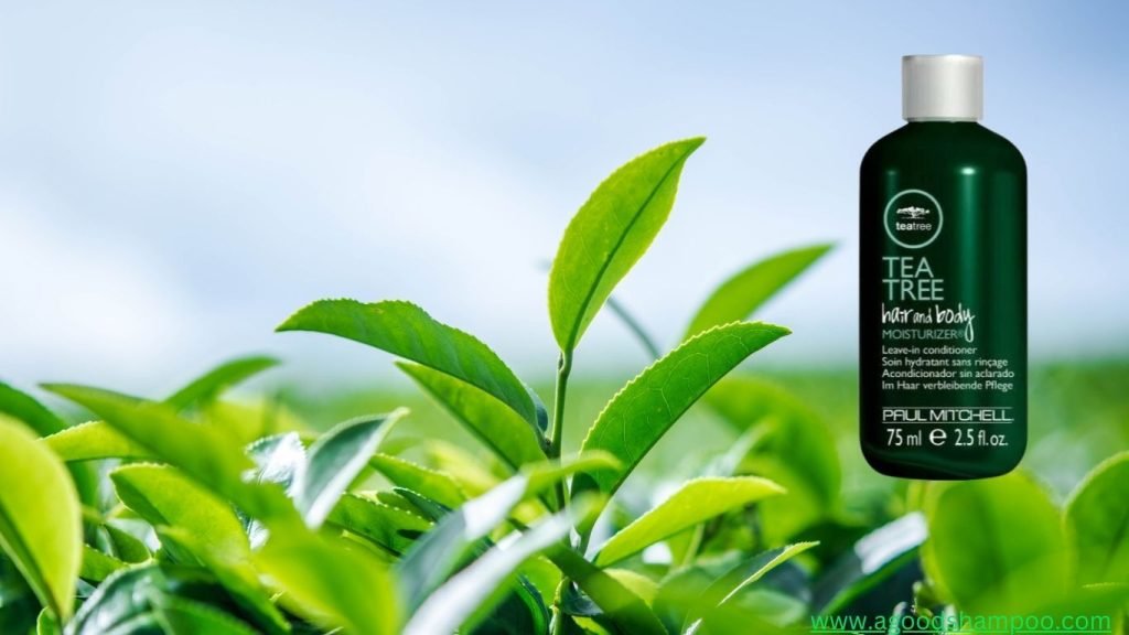 Tea Tree Leave-In Conditioner: Benefits, Reviews, and Usage 1 Tea Tree Leave-In Conditioner