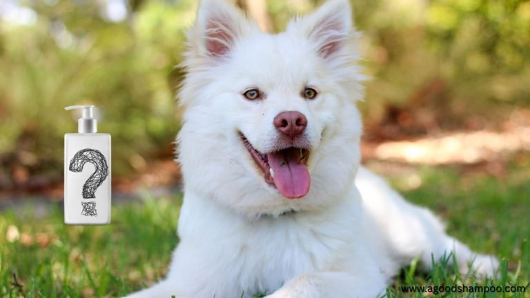 What Shampoo Is Good for White Dogs: Sensitive Skin & Whitening 23 What Shampoo Is Good for White Dogs