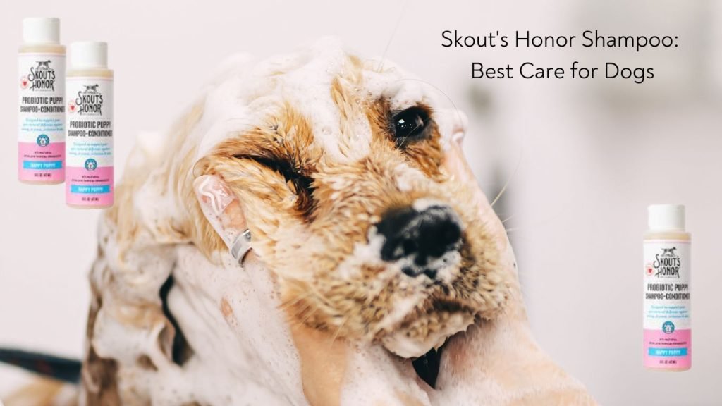Skouts Honor Shampoo Best Care for Dogs