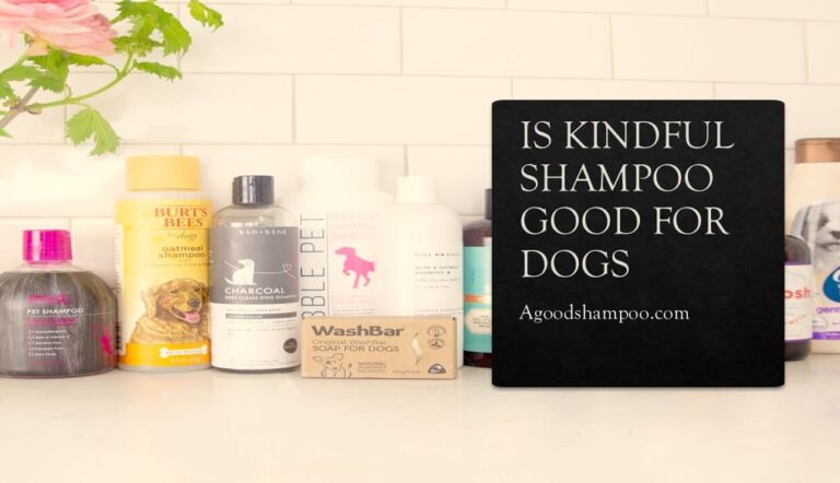 Is Kindful Shampoo Good for Dogs? Smell, Type & Features Guide