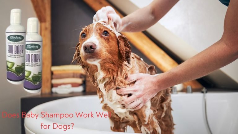 Does Baby Shampoo Work Well for Dogs