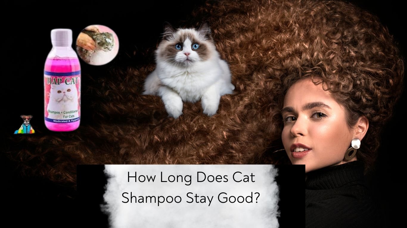 How Long Does Cat Shampoo Stay Good