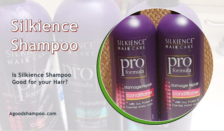 silkience pro formula 2-in-1 shampoo and conditioner,