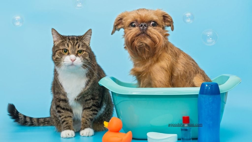 Best Flea Shampoos for Dogs and Cats