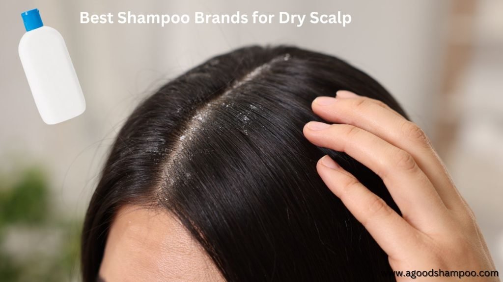 Best Shampoo Brands for Dry Scalp: Top Picks & Solutions 1 Best Shampoo Brands for Dry Scalp