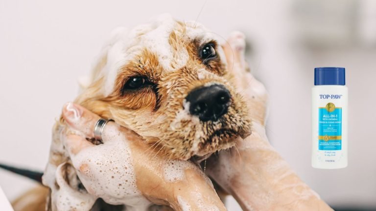 Is Top Paw Shampoo a Good Brand for Your Pet? A Comprehensive Review 15 Top Paw Shampoo