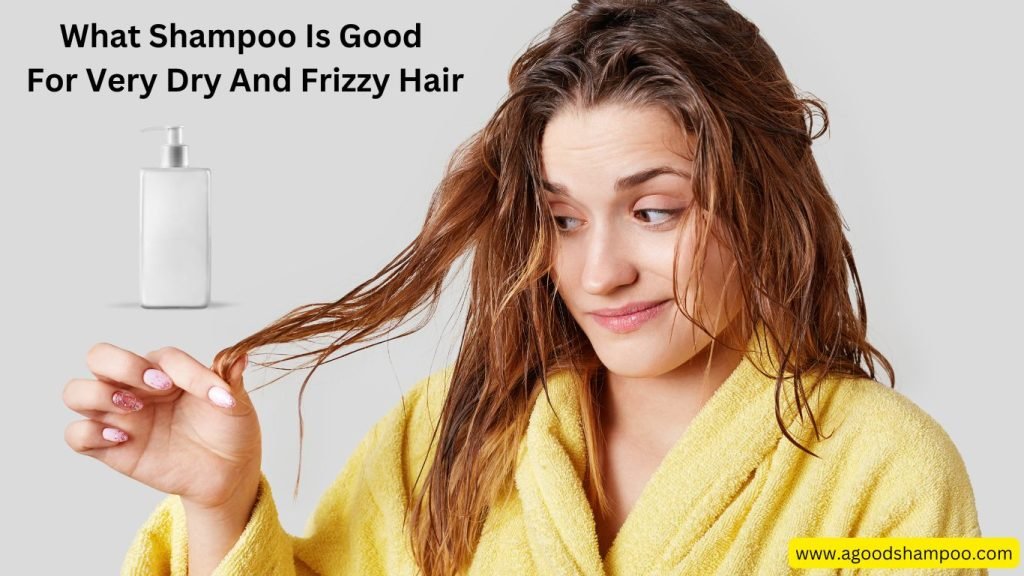 What Shampoo Is Good For Very Dry And Frizzy Hair