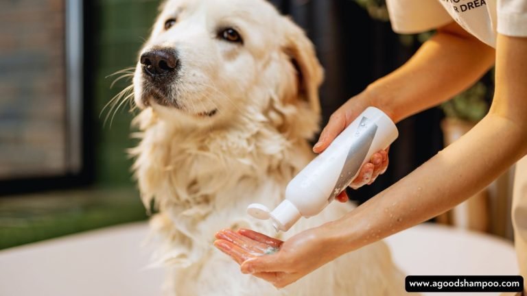What Should A Good Dog Shampoo For Dry Skin Contain 17 What Should A Good Dog Shampoo