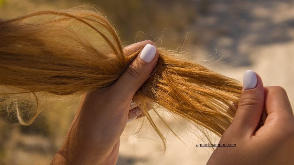 Why Are Some Shampoos Good For A Woman's V & Hair Care Tips