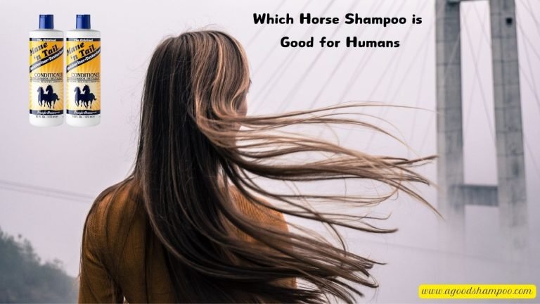 Which Horse Shampoo is Good for Humans
