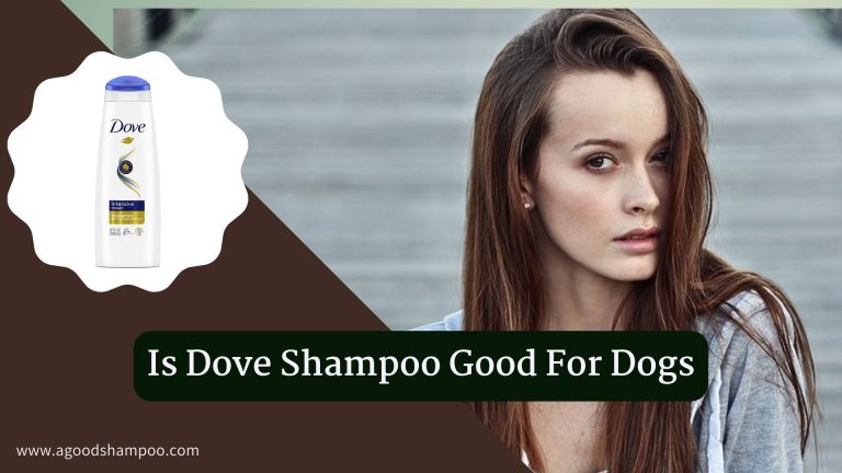 Is Dove Shampoo Good For Dogs? Safe Use and Best Alternatives