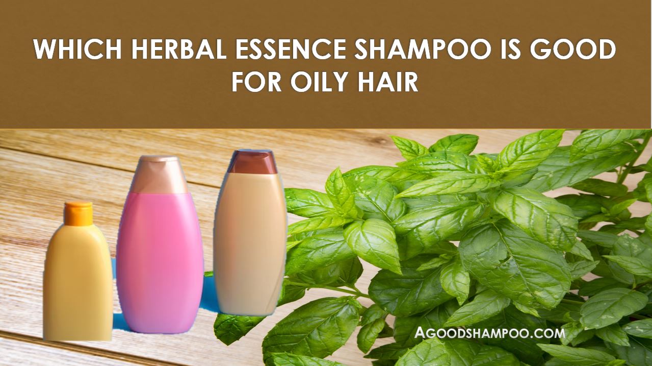 Which Herbal Essence Shampoo Is Good For Oily Hair