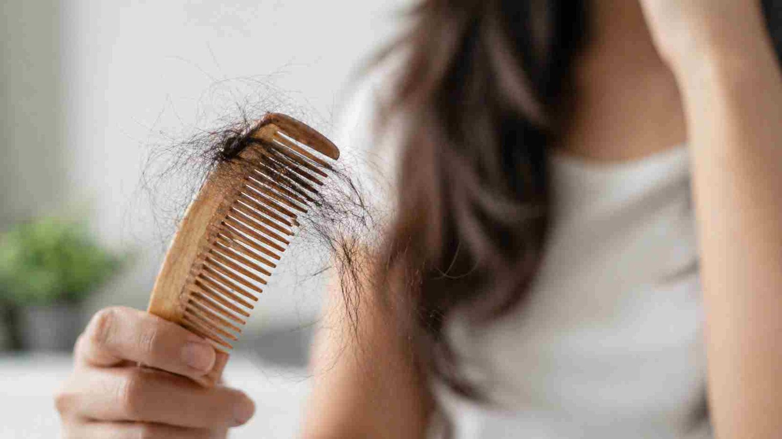 Close-up of hair strands on comb showing hair fall and breakage