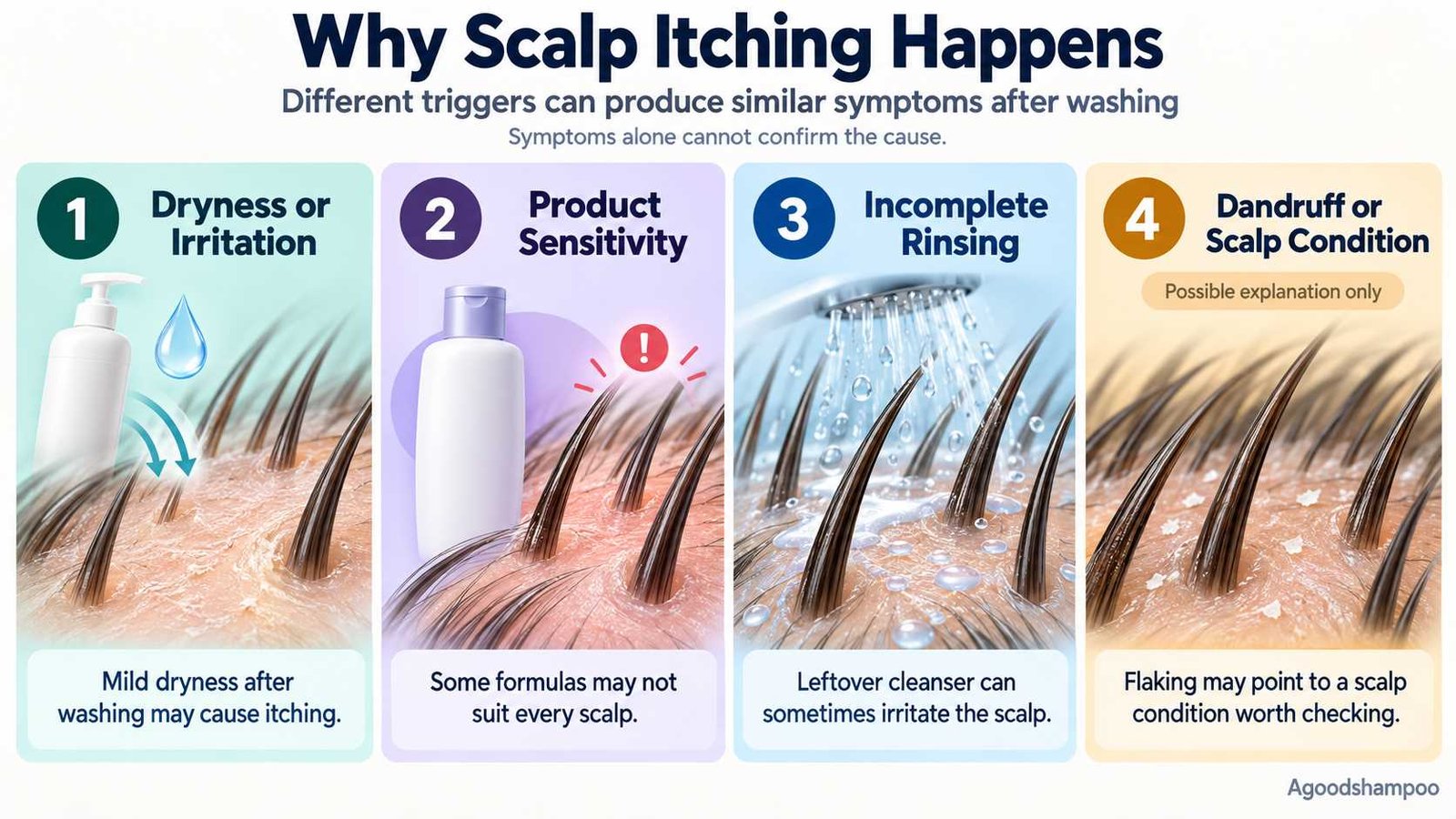 Why Does My Scalp Itch After Shampooing? Causes & Relief 2 Infographic comparing scalp dryness, product sensitivity, rinsing residue and dandruff